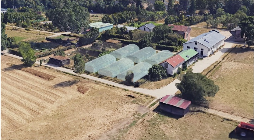 découvrez les meilleures fermes à paris en 2025 : activités, visites pédagogiques, événements et expériences authentiques pour petits et grands au cœur de la capitale.