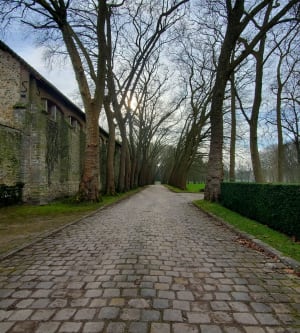 découvrez moigny-sur-école, un village naturel niché au cœur de la nature, idéal pour les amoureux de paysages préservés, de randonnées et d'authenticité en île-de-france.