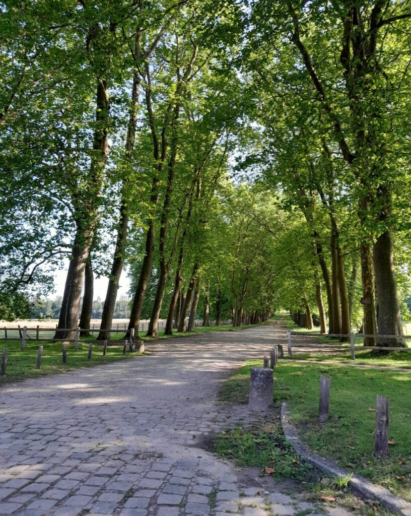 découvrez moigny-sur-école, un charmant village naturel situé au cœur de la nature, entre forêts et rivières, idéal pour les amoureux de tranquillité et de paysages authentiques.