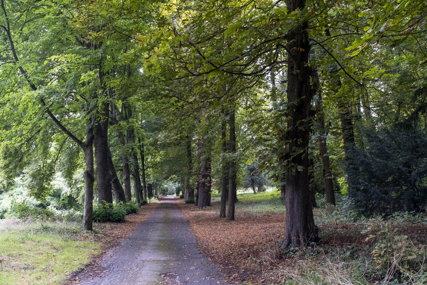 découvrez nos solutions pour des travaux sereins à châtenay-malabry : conseils d’experts, accompagnement personnalisé et réalisations de qualité pour votre tranquillité d’esprit.
